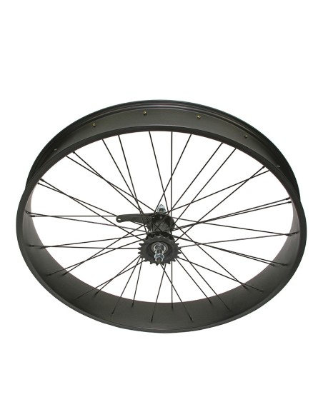 26 x 4.00 Fat Alloy Front 6/Bolt Disk Wheel 36 Spoke 14gBlack 3/8 Axle Single Wall Black,